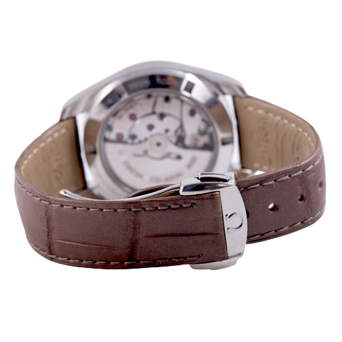 Omega Seamaster Aqua Terra Master Chronometer Armbanduhr in Edelstahl mit Automatikwerk