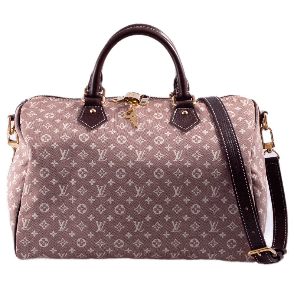 Louis Vuitton Idylle Speedy Bandouliere 30 Sepia