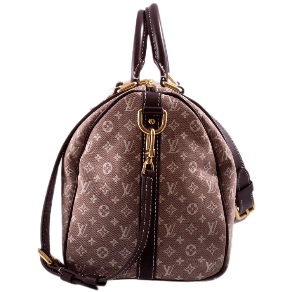Louis Vuitton Idylle Speedy Bandouliere 30 Sepia