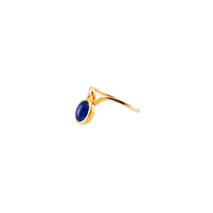 SET: OHRSTECKER UND RING